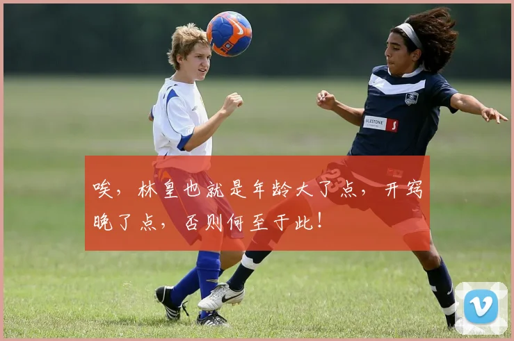 唉，林皇也就是年龄大了点，开窍晚了点，否则何至于此！