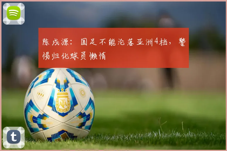 陈戌源：国足不能沦落亚洲4档，警惕归化球员懒惰