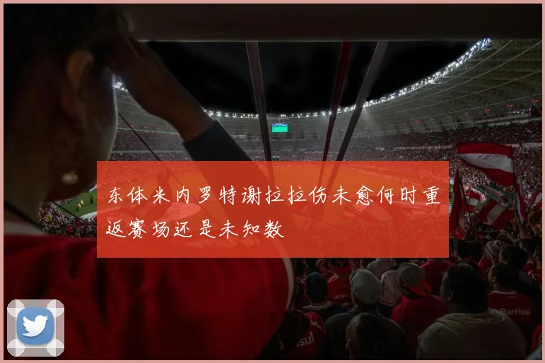 东体米内罗特谢拉拉伤未愈何时重返赛场还是未知数