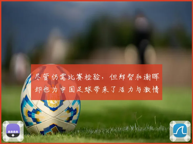 尽管仍需比赛检验，但郑智和谢晖却也为中国足球带来了活力与激情